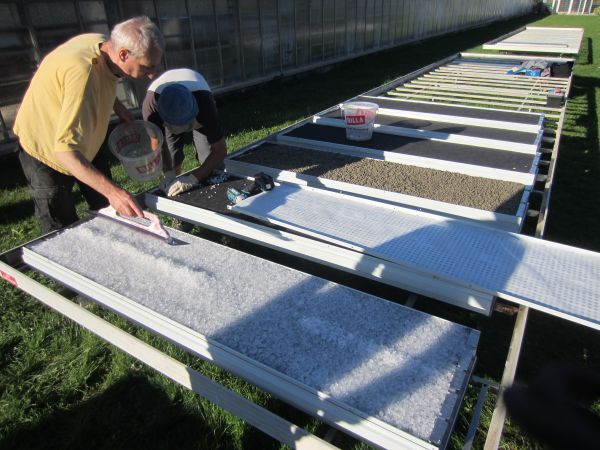 Die verschiedenen Moos-Gattungen wurden nach Fertigstellung der Paneele dann auf die Paneele aufgebracht bzw. in die Paneele eingesetzt