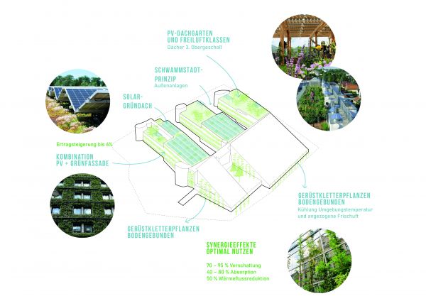 Ergänzend zum Klima- und Energiekonzept und dem Nutzungskonzept werden mit Begrünungsmaßnahmen an der Fassade, am Dach und im Innenraum wirksame Synergien geschaffen. Mit innovativer und abgestimmter Einbeziehung von Vegetation kann das Leistungspotential der Gebäudeoptimierung und der energetischen Maßnahmen gesteigert werden.