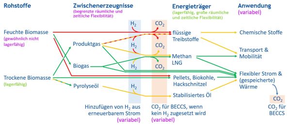 Netzwerk flexibler Bioenergietechnologien und Biomasseumwandlungstechnologien. Es werden vier Abschnitte von links nach rechts entlang der Wertschöpfungskette unerschieden. Rohstoffe, Zwischenerzeugnisse, Energieträger und Anwendungen. Die Rohstoffe sind unterteilt in feuchte und trockene Biomasse. Die Zwischenerzeugnisse sind unterteilt in Produktgas, Biogas, und Pyrolyseöl unterteilt. Die Energieträger sind in flüssige Treibstoffe, Methan und LNG, Pellets, Biokohle, Hackschnitzel und stabilisiertes Pyrolyseöl unerteilt. Die Anwendungen sind in chemische Stoffe, Transport und Mobiliät, flexiblen Strom und (gespeicherte) Wärme unterteilt. Ein zusätzlicher Pfeil weist darauf hin, dass die Wertschöpfungskette bei der Anwendung nicht endet. CO2 ist wiederum ein Rohstoff, der weggespeichert werden kann, oder genutzt werden kann. CO2 wird auch zwischen dem Schritt von Zwischenerzeugnissen zu Energieträgern erzeugt. In diesem Zwischenschritt kann auch Wasserstoff von volatilen Erneuerbaren hinzugefügt werden. Mit farbigen Pfeilen veranschaulicht die Grafik, welche Versorgungsketten bereits etabliert sind, welche sich in der Demonstrationsphase befindet, und welche noch entwickelt wird. Feuchte Biomasse via Biogas für Transport un Srom stellt eine etablierte Kette dar. So auch trockene Biomasse, die als Pellets oder Hackschnitzel oder durch Vergasung für Strom und Wärme genutzt wird. Pyrolyseöl, aber auch flüssige Treibstoffe aus fester Biomasse für chemische Stoffe oder Transport befinden sich in der Demonstrationsphase. Die Nutzung von feuchter Biomasse für flüssige Treibstoffe oder zur Umwandlung in feste Brennstoffe sind noch unterentwickelte Versorgungsketten.